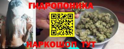 крисы Бузулук
