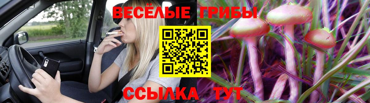 Кудымкар  Псилоцибиновые грибы мухоморы  Вход с VPN 