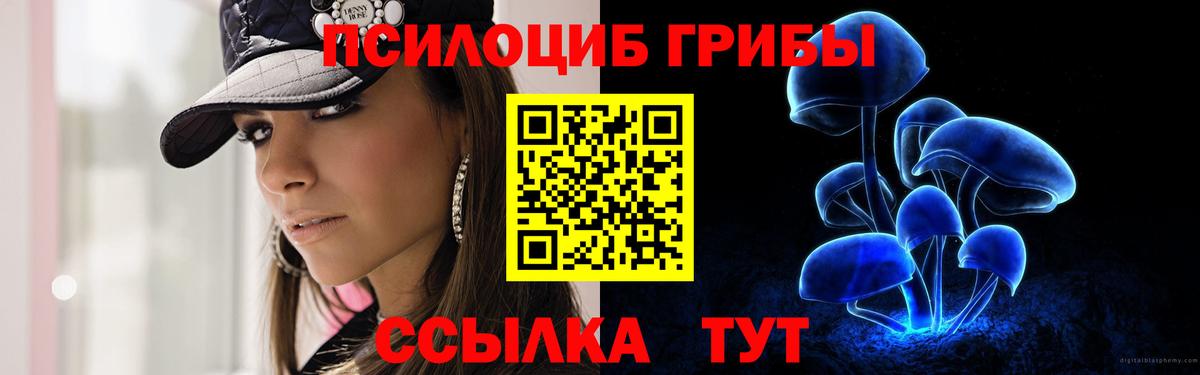 Псилоцибиновые грибы ЛСД Кудымкар